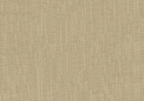 Biscuit Plain